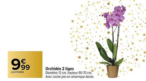 Promo Orchidée 2 Tiges chez Carrefour iCatalogue fr