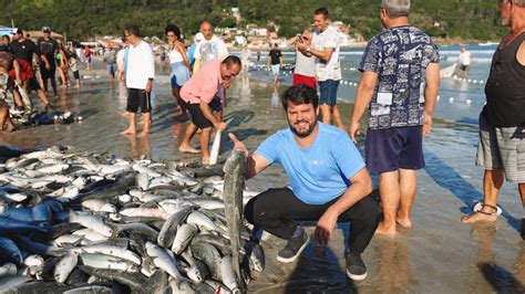 Pesca Da Tainha Comida De Praia Em Florian Polis Sc