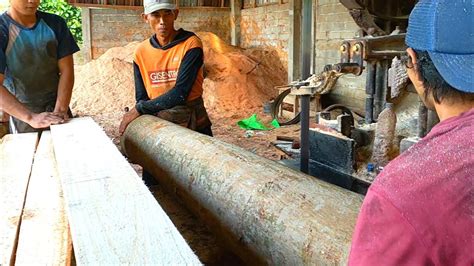 Ngerii Gergaji Sawmill Ini Super Tajam Merajang Kayu Randu Olahan