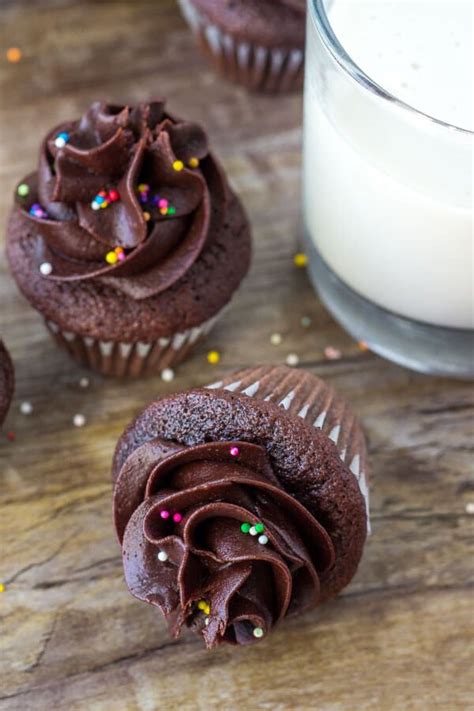 Mini Chocolate Cupcakes Recipe Mini Cupcake Recipes Chocolate