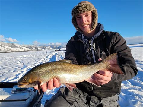 Idaho Fish Reports