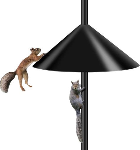 Amazon Squirrel Baffles For Bird Feeders 19 Inch Wide Baffle For