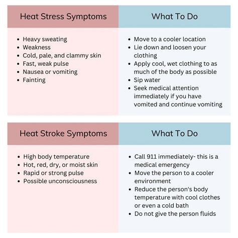 Heat Related Illnesses How To Stay Safe While Working In Hot