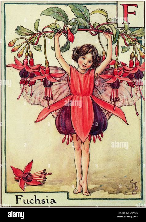 Flower Fairies Illustration By Cicely Mary Barker The Fuchsia Fairy