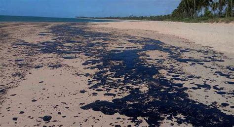 Manchas de óleo chegam a praias de Salvador Noticia Limpa