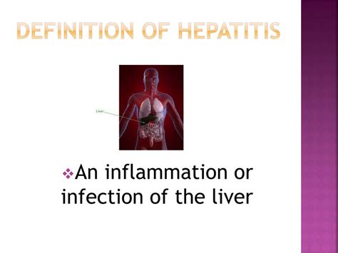 Ppt Hepatitis Powerpoint Presentation Free Download Id 2855719