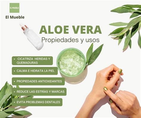 Guía COMPLETA Del ALOE VERA Beneficios Cómo