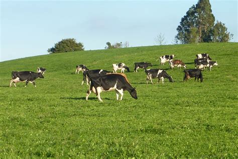 Galicia Lidera El Incremento Del Precio De La Tierra Agraria En España