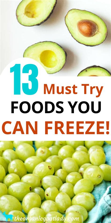 13 Foods You Can Freeze The Organic Goat Lady Freezing Food Guide