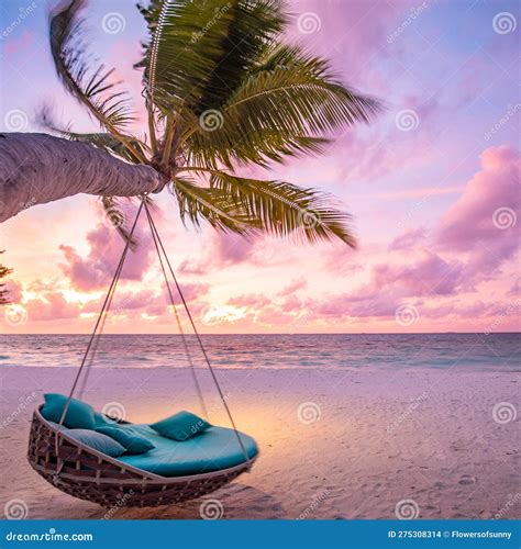 Tropical Sunset Beach Background Summer Island Landscape With Palm