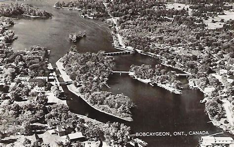 About Sturgeon Lake - Kawartha Waterfront Realty Inc, Ontario Canada