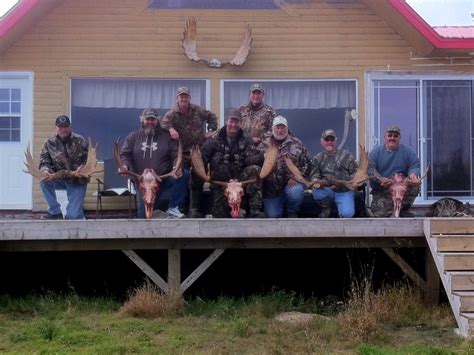 Moose Gallery Caribou Cove Outfitters Big Game Hunting In