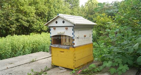 Honey Flowing Automatic Bee Hive Box Auto Flowing Bee Hive For Sale