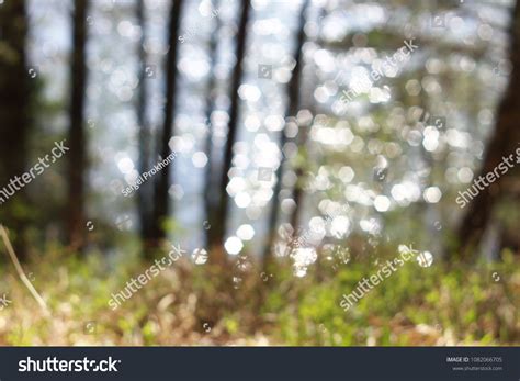 Abstract Green Forest Bokeh Background Stock Photo 1082066705