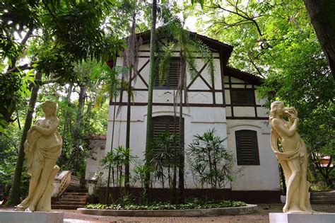 Bosque Dos Jequitib S O Mais Antigo Parque De Campinas Viajante Sem Fim