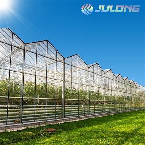 Agricultural Greenhouse Multi Span Venlo Polycarbonate Greenhouse With