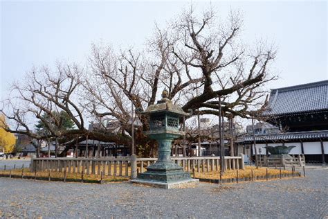 西本願寺御煤払い1日目 こころはコロコロ日録