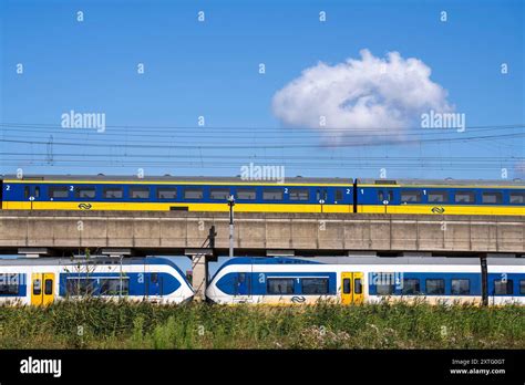 sprinter light train slt commuter train  res stock photography