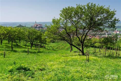 Jarní Mikulov Jiří Hudec