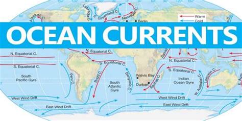 Types of Ocean Currents - QS Study