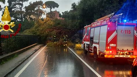 Maltempo Danni Da Nord A Sud La Situazione Di Oggi Domenica 10 Marzo