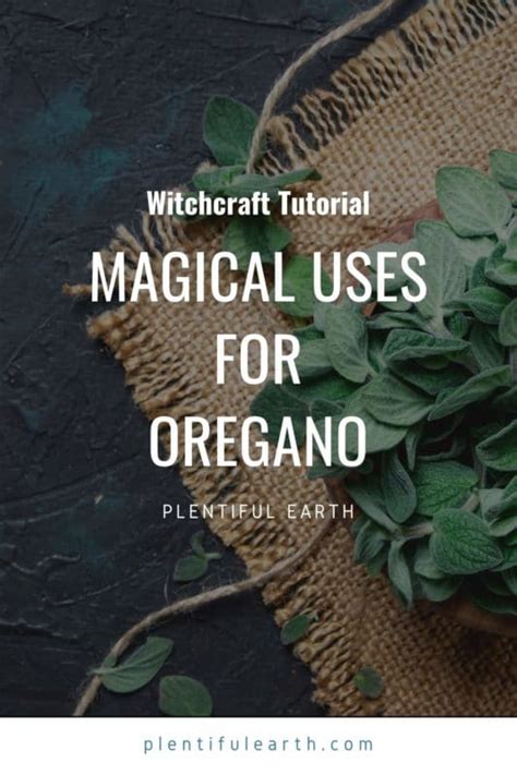 Magickal Correspondences Of Oregano