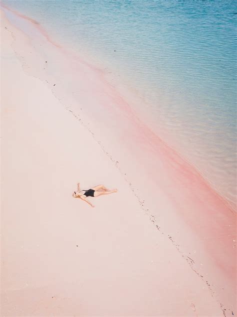 Pink Beach Pictures | Download Free Images on Unsplash