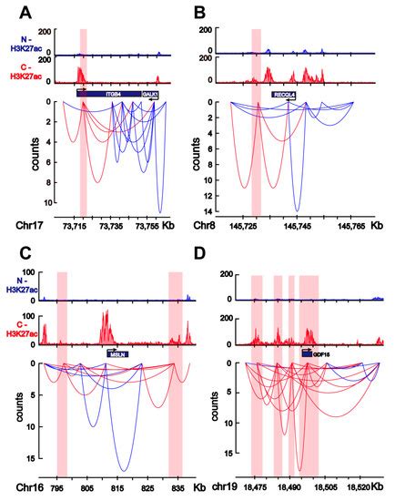 Regulation Network Of Colorectal Cancer Specific Enhancers In The