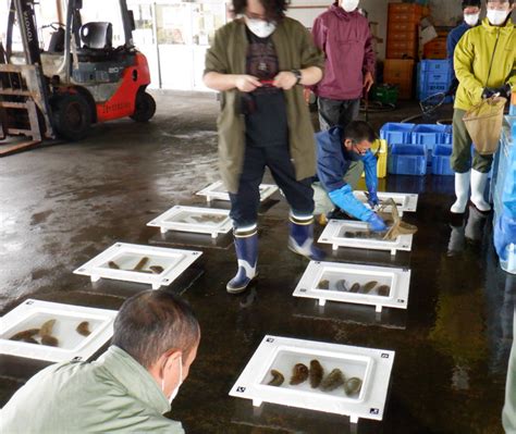 三重大学 生物資源学部・大学院生物資源学研究科 毎日新聞の磯焼けに関する記事にて、本研究科の附帯施設水産実験所などでつくる「三重県藻場研究