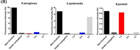 A Bacterial Anti Adhesion Effect On P Aeruginosa S Epidermis And Download Scientific