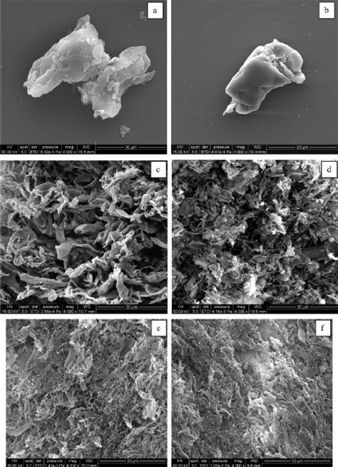 Sem Micrographs Of Di Ff Erent Pbat Tsbp Blends Pbat Tsbp Pmdi Ratio