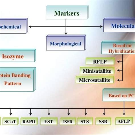 Molecular markers systemic roadmap. Biochemical Markers (e.g. Isozymes ...