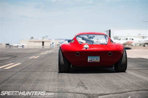 Btm Continuation Cheetah Up Close And Personal Speedhunters