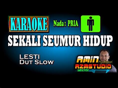 SEKALI SEUMUR HIDUP LESTI KARAOKE Nada PRIA YouTube