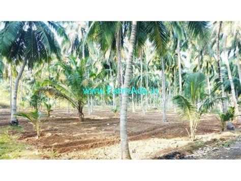 Acres Coconut Farm Land For Sale In Kunjanviali Nagercoil Farmads In