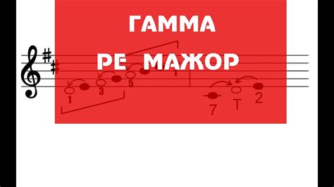 Гамма ре мажор. Сольфеджио. - YouTube