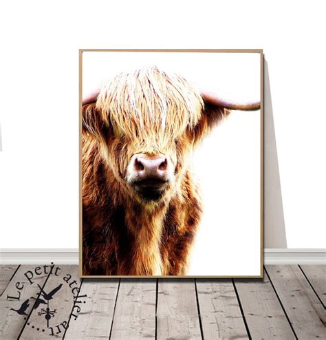 Highland Cow Print Farmhouse Decor Modern Print Shaggy Cow Etsy