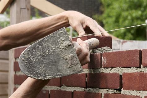 Un Alba Il Nivela Ladrillos En Cemento Hace Un Muro De Hormig N