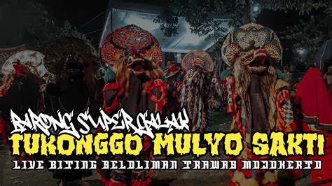 Pasukan Singo Barong Super Galak Jaranan Turonggo Mulyo Sakti Live