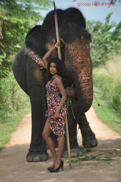 Sri Lankan Taste Fashion Magazine Ali Kulappuwa A Fashion Photo Shoot