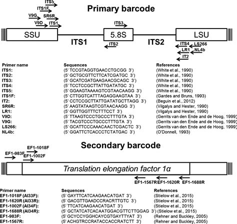 Database Establishment For The Secondary Fungal DNA Barcode