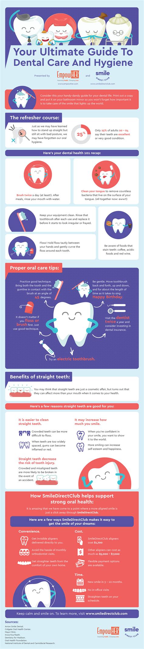 Infographic Your Ultimate Guide To Dental Care And Hygiene