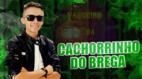 Cachorrinho Do Brega Ao Vivo Forr De Vaqueiro Youtube