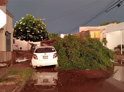 Cajeme Atiende Protección Civil Municipal reportes por lluvia y vientos