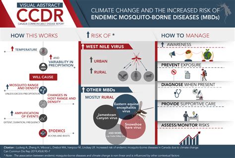 Endemic Mosquito Borne Diseases Due To Climate Changes Canada Ca