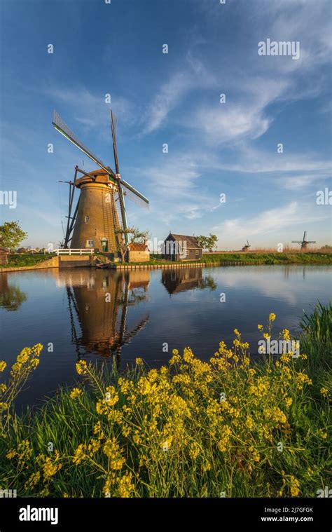 Unesco Werelderfgoed Kinderdijk Molens Ancient Windmills At Dusk In