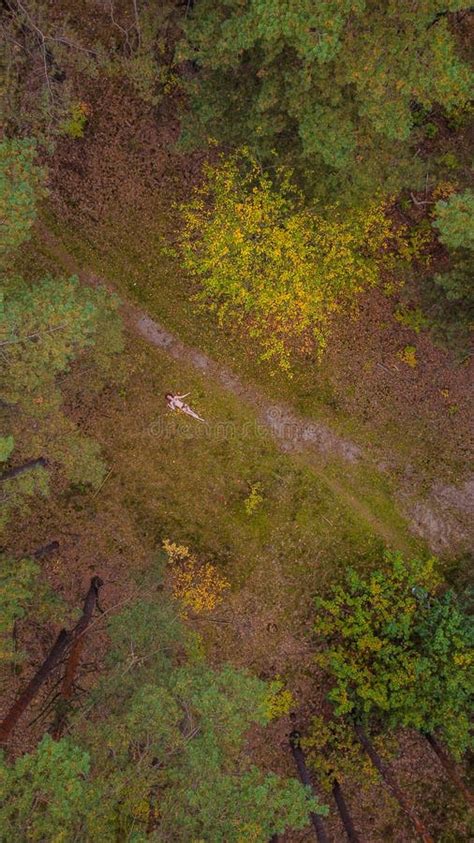 Nude Woman Laying Leaves Stock Photos Free Royalty Free Stock Photos From Dreamstime