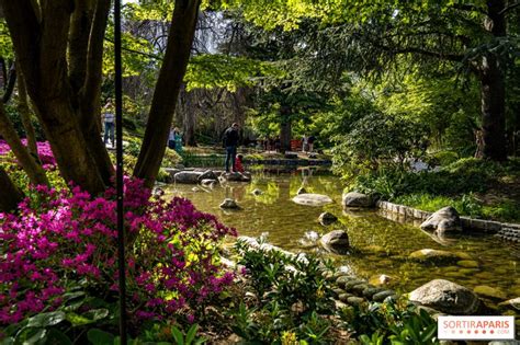 Le Printemps S Installe Dans Le Jardin Japonais Du Mus E Albert Kahn