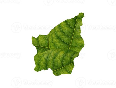 San Marino Map Made Of Green Leaves Ecology Concept Png