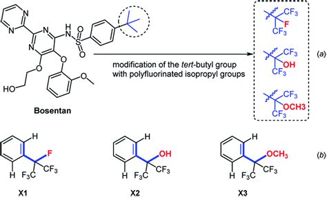 A Modification Of The Tert Butyl Group Of Bosentan With The Download Scientific Diagram